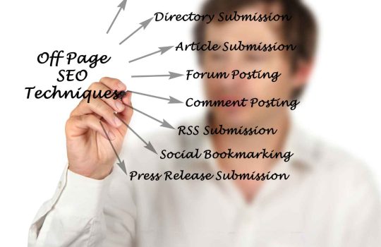 Organic SEO2